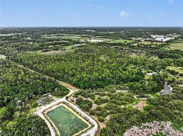 Expansive undeveloped land featuring a significant tree canopy and natural vegetation