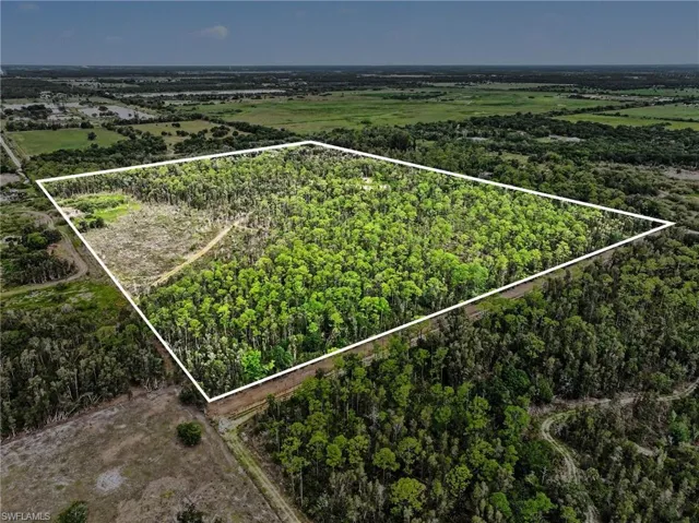 Expansive undeveloped land parcel featuring a mix of dense tree cover and partially cleared areas