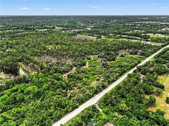 Expansive land parcel featuring dense natural foliage, established trees, a paved road frontage, and a clear sky backdrop