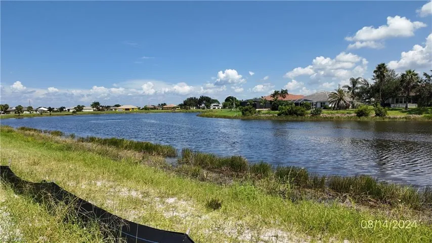 View from the back yard