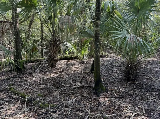 36xx 38th Ave Se, Naples, Florida 34117