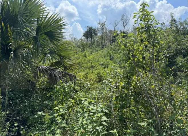 36xx 38th Ave Se, Naples, Florida 34117