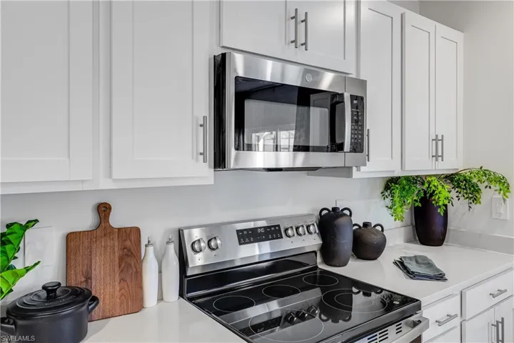 16042 Palos Verdes St, Babcock Ranch, Florida 33982