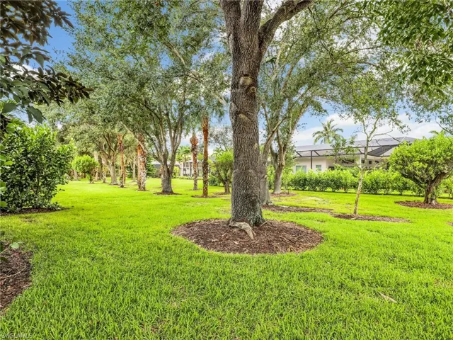 View of green lawn