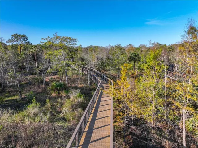 Boardwalk Nature Trail Into The Preserve