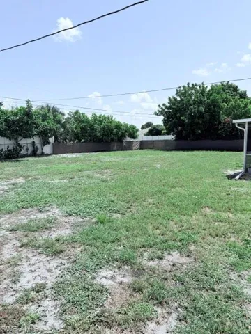 View of massive backyard.