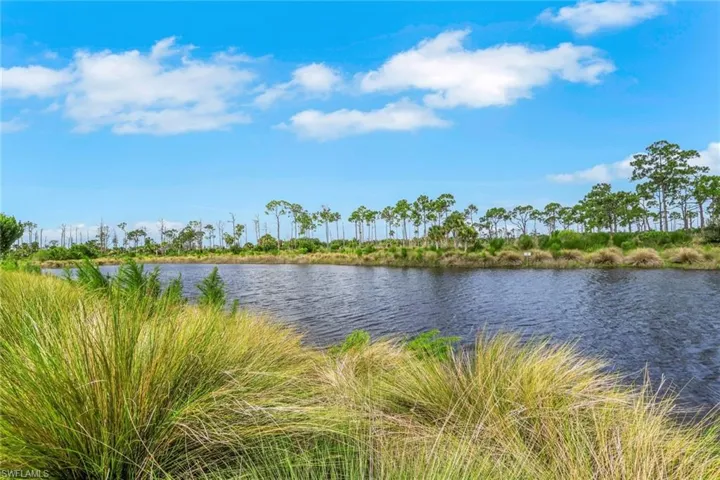 6367 Negril Isle Dr, Naples, Florida 34113