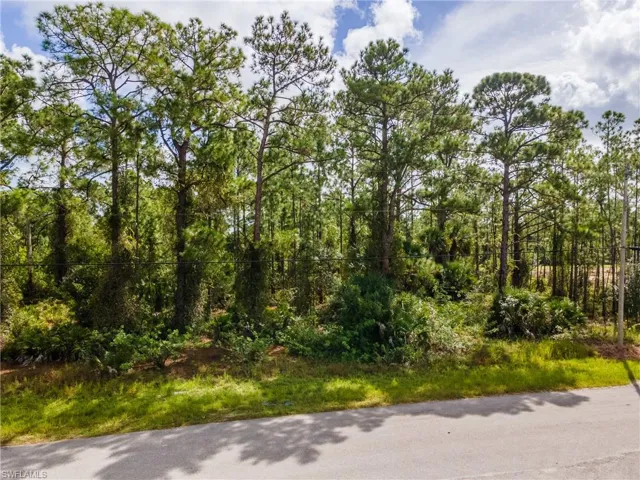 231 Thornton Ave S, Lehigh Acres, Florida 33974
