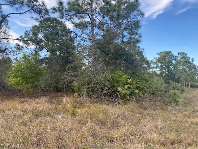 1262 Belfast AVE, FORT MYERS FL 33913