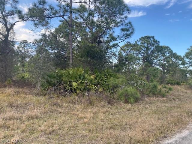 1262 Belfast AVE, FORT MYERS FL 33913