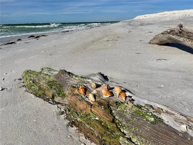 Beach Duplex is on World Class Fishing and Shelling...