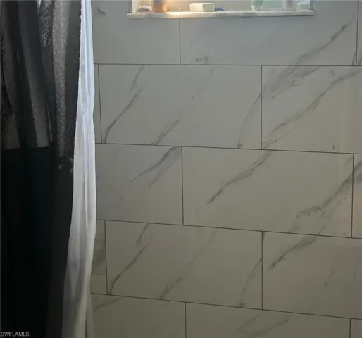 Interior details with tiled shower
