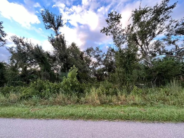View of local wilderness