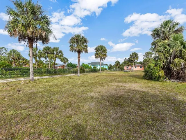 Front Yard