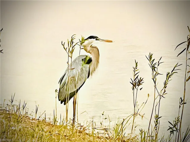 Exterior view of wildlife