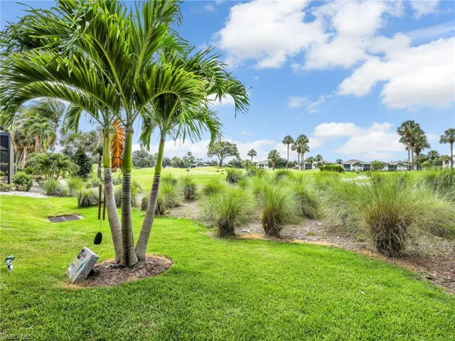 A view from the back yard