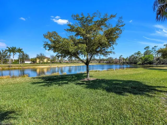Peaceful Lake View