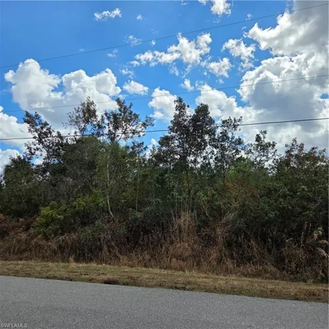 Direct Front view of the lot