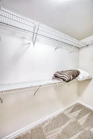 Walk in closet featuring carpet floors