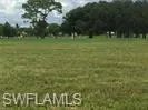 View of nature