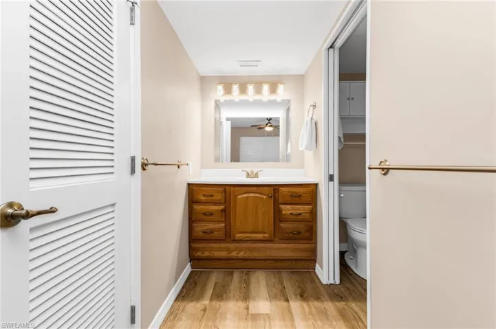 Bathroom featuring vanity, light wood finished floors, and a closet