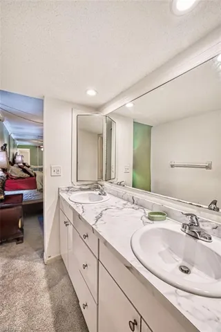 MASTER / PRIMARY SUITE BATHROOM with DOUBLE SINK
