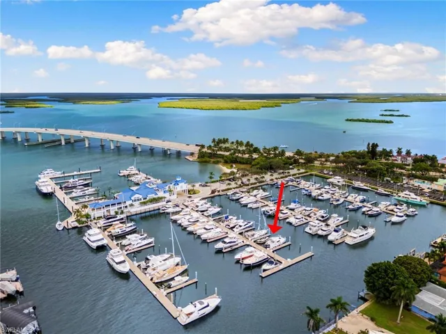 Bird's eye view of numerous boat docks, a large body of water, and a notable bridge