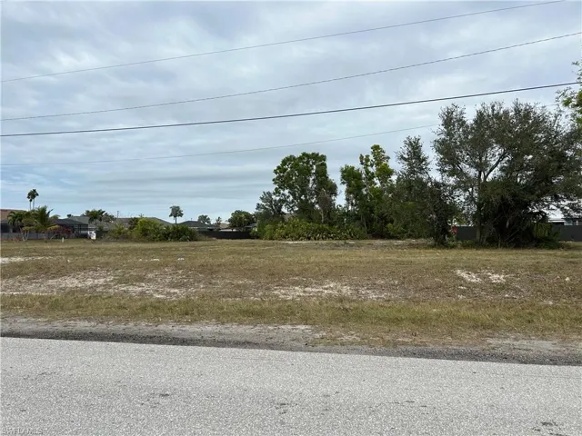Looking from road to back of lot.