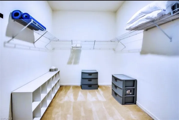 Spacious closet featuring light carpet
