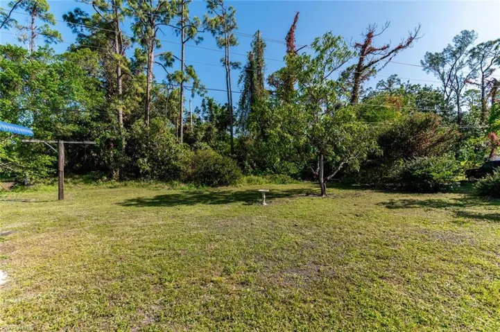 Back yard, View of Woods