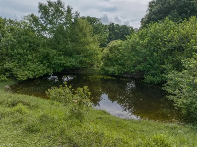 Water view