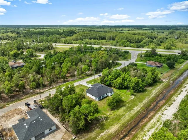 Aerial view of a forest