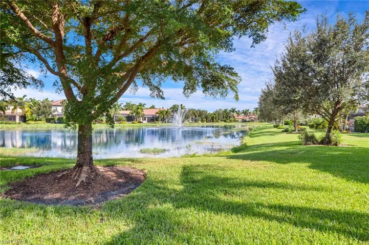 View of back yard water feature