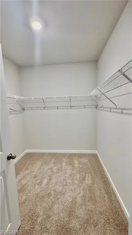 17710 Shade Tree Loop, Babcock Ranch, Florida 33982