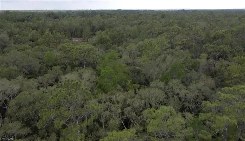 Aerial view of property's location with a forest