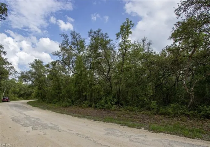 View of dirt / gravel road featuring a wooded view