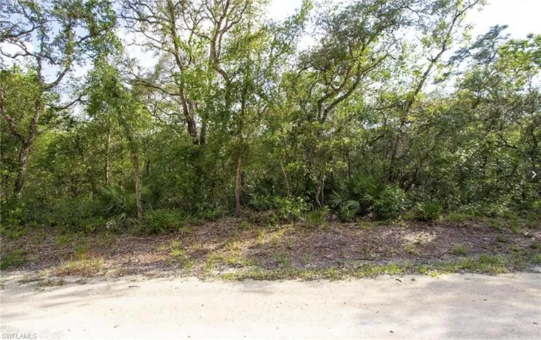 View of undeveloped land
