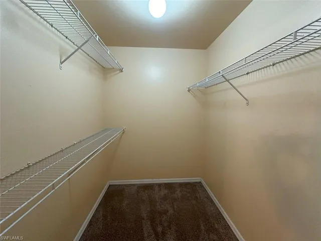 Spacious closet featuring carpet floors