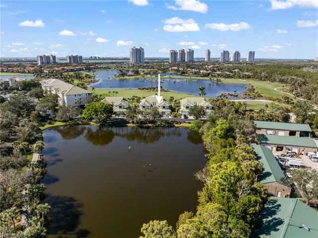 Pelicans, Egrets, Great Blue Herons, and Anhinga are just a few of the amazing bird species you will enjoy watching right outside your window every day