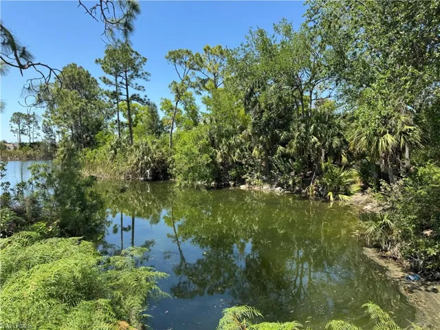 View of water feature