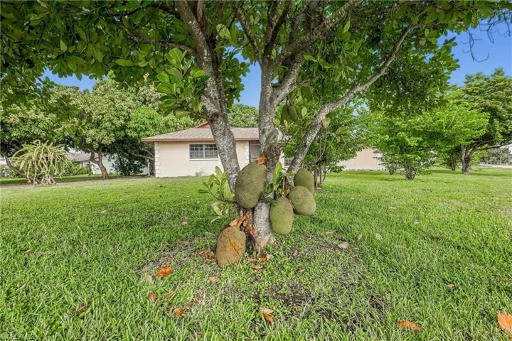 2225 Se 2nd St, Cape Coral, Florida 33990
