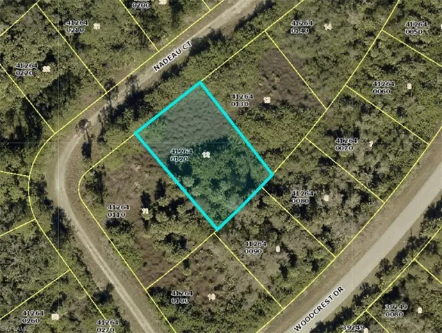 Aerial map of property and surrounding area