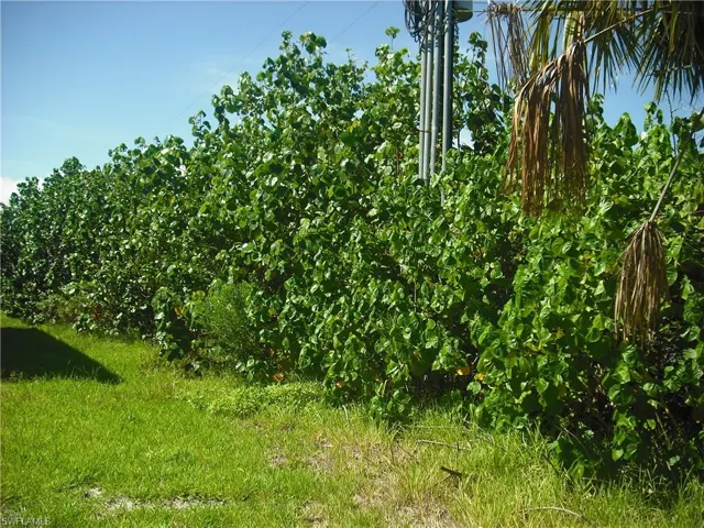 View of landscape