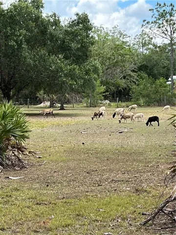 1454  Deer Run  RD, Labelle, FL 33935