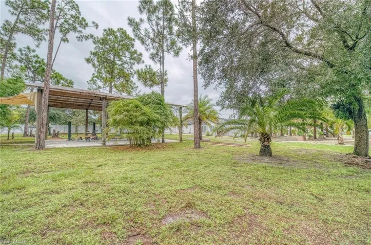 View of grassy yard