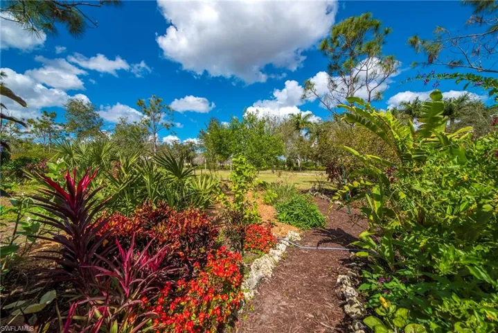 Butterfly gardens