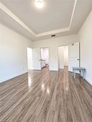 Tray ceiling, wood-finish flooring, and two-panel interior doors