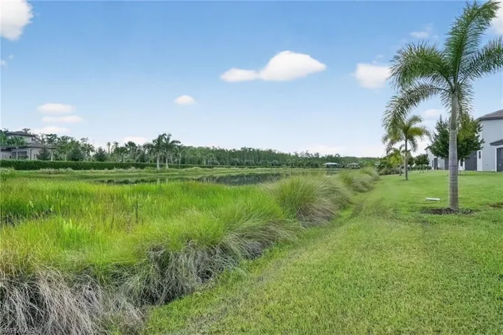 View of nature