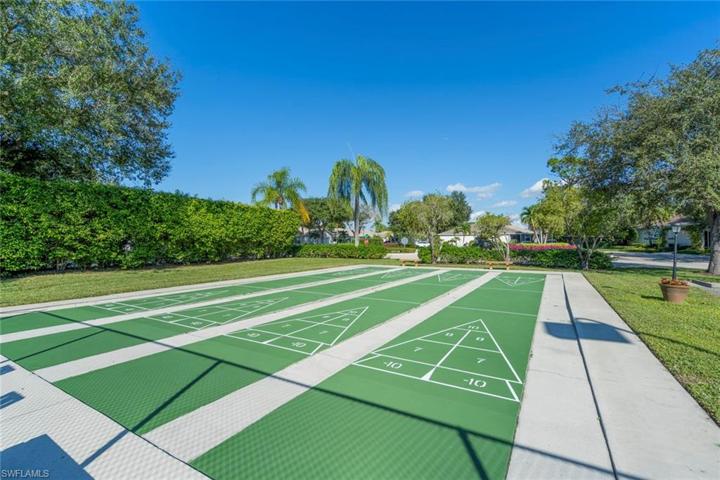Shuffleboard
