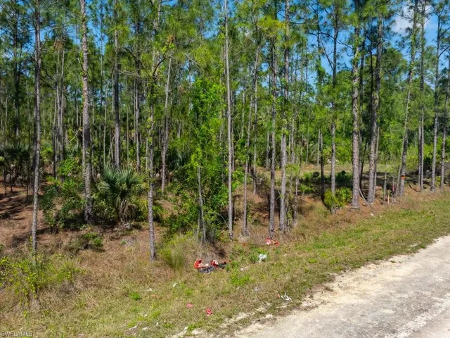 1115 Lincoln AVE, LEHIGH ACRES FL 33972
